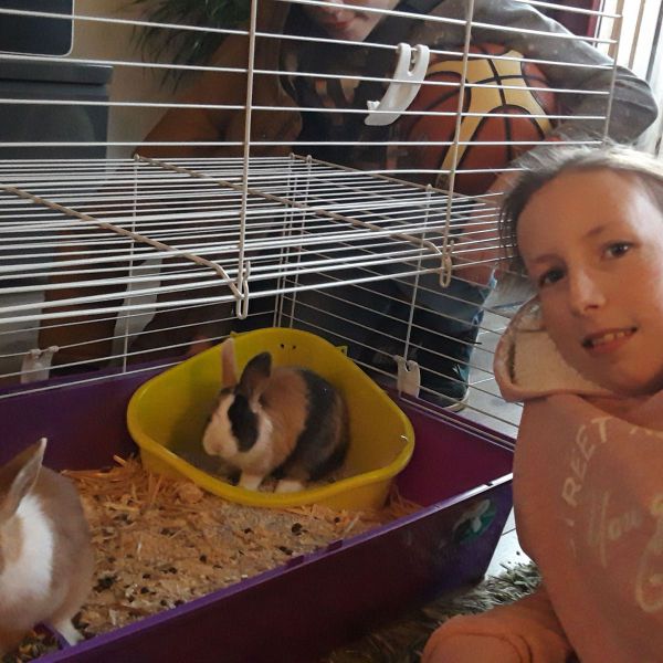 Huisdierenoppas Anne uit Rosmalen