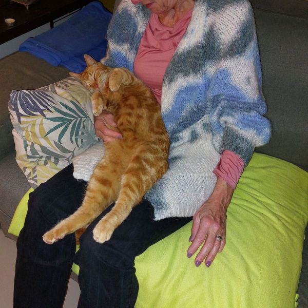 Huisdierenoppas Jessica uit Amsterdam