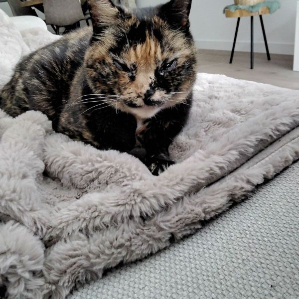 Huisdierenoppas Marjo uit Mijdrecht