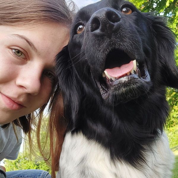 Huisdierenoppas Teide uit Sinderen