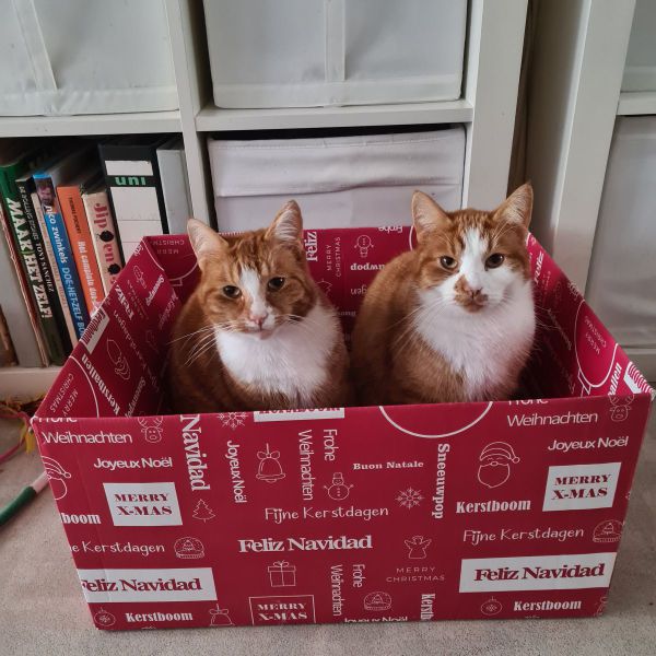 Huisdierenoppas annelies uit Den Haag