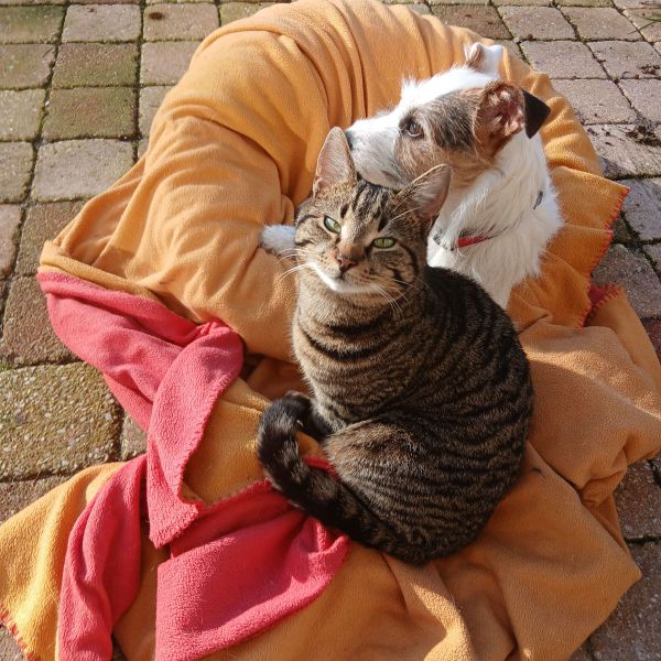 Huisdierenoppas Femke uit Leiden