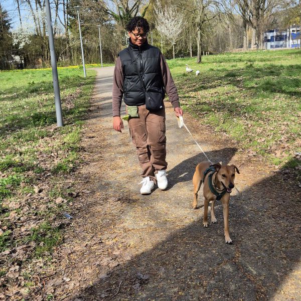 Huisdierenoppas Milan uit Rotterdam