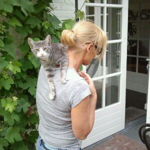 Huisdierenoppas Sandra uit Roermond