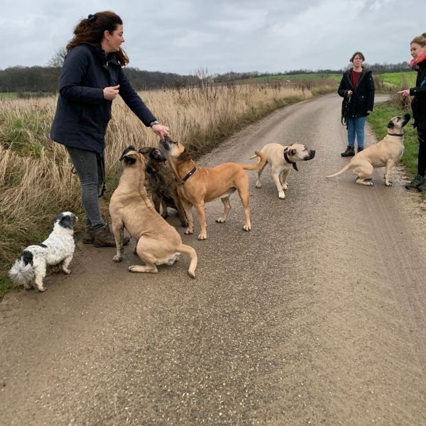 Hondenoppas Ellen uit Elsloo