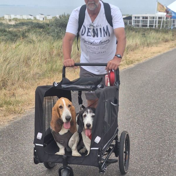 Angelique Van der Steen, Malaka, Emma uit Dorst zoekt een Hondenoppas