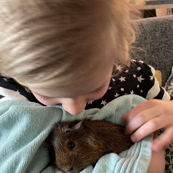 Doortje, Woezel uit Papendrecht zoekt een Knaagdierenoppas