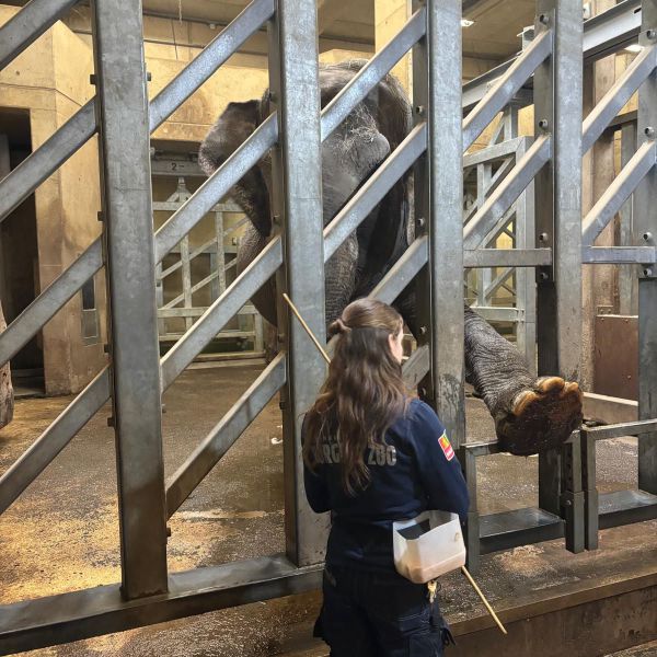 Huisdierenoppas Isabel uit Oss