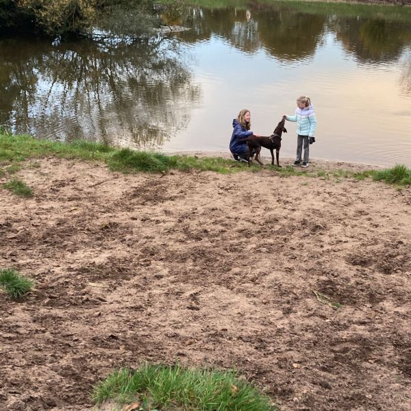 Hondenoppas Marlou uit Rekken