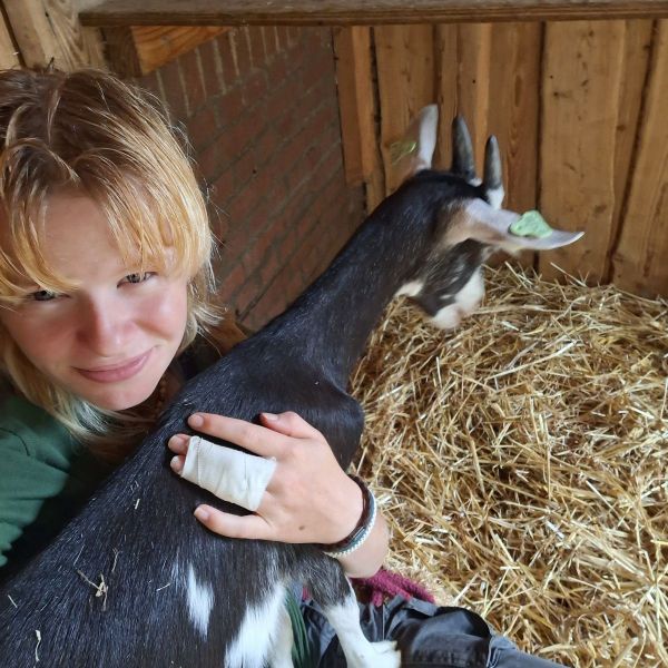 Huisdierenoppas Lieke uit Zoeterwoude- Rijndijk