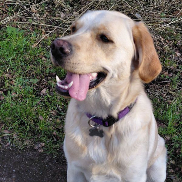 Huisdierenoppas Mathilde uit Krimpen Aan Den Ijssel