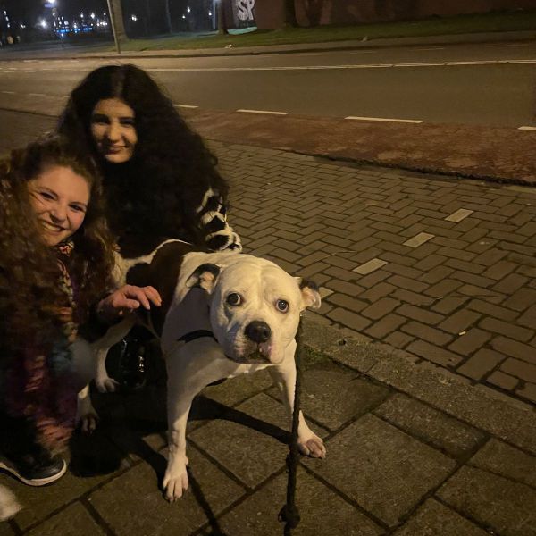 Huisdierenoppas Amber Kool uit Groningen