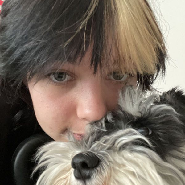 Huisdierenoppas Dasha uit Naarden