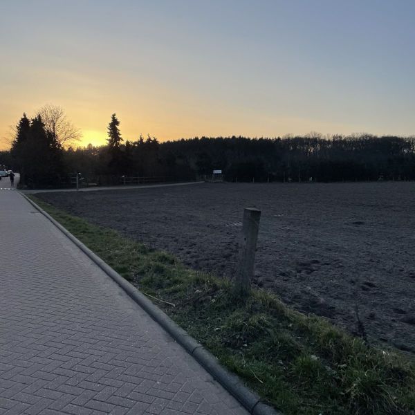 Hondenoppas Kellen uit Huizen