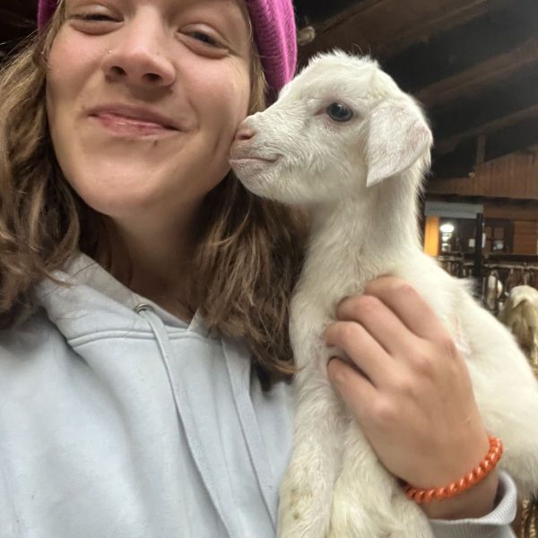 Huisdierenoppas Anna de Jong uit Driehuis, Nh