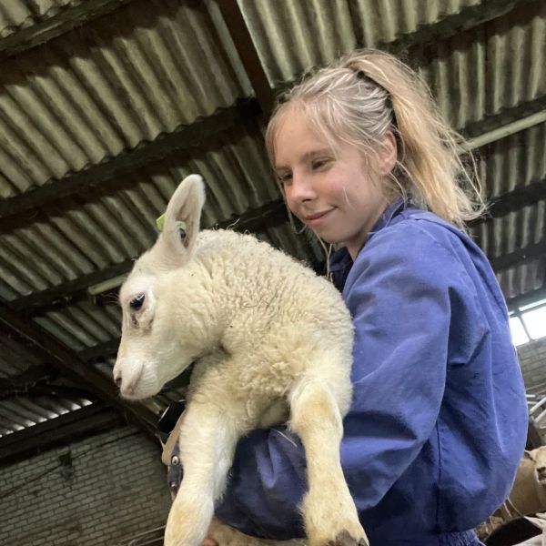 Huisdierenoppas Margriet uit Hollum, Ameland