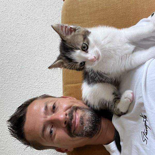 Scotty uit Schiedam zoekt een Kattenoppas