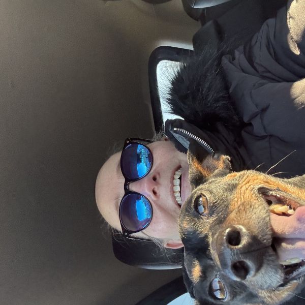 Peewee uit Hoogvliet Rotterdam zoekt een Hondenoppas