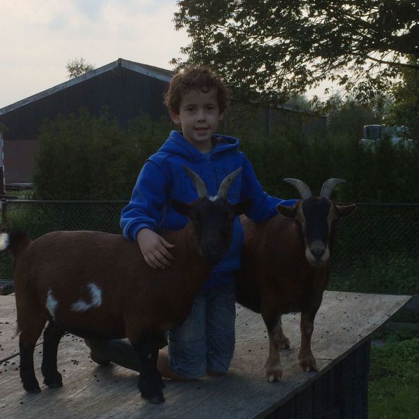 Huisdierenoppas Nout uit Hardinxveld-Giessendam