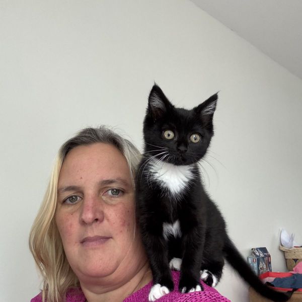 Huisdierenoppas Ilona uit Huizen