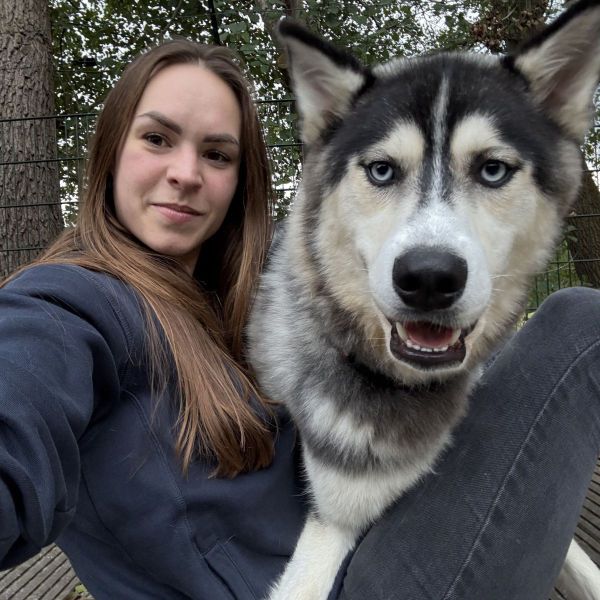 Huisdierenoppas Cindy uit Soest