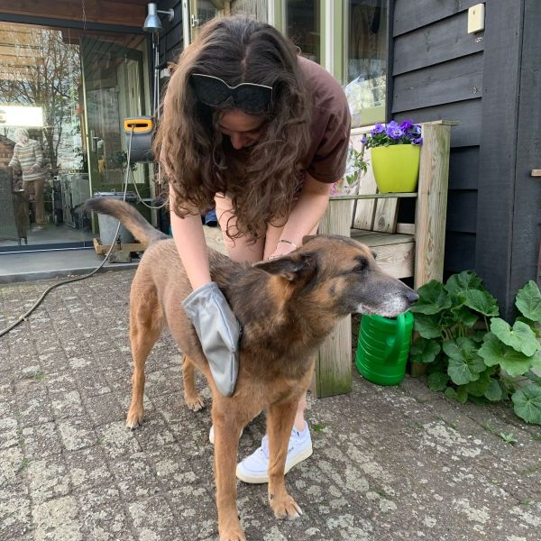 Hondenoppas Lara de Vos uit Tilburg