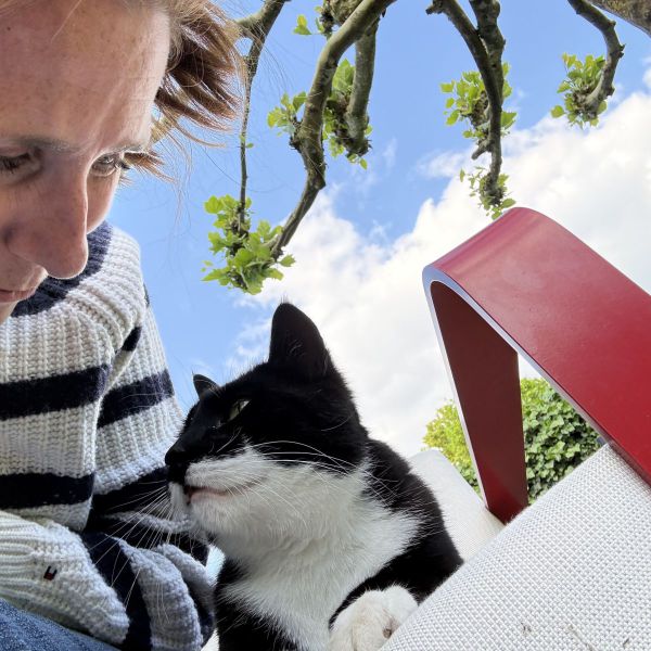 Kattenoppas Doortje uit Huis Ter Heide