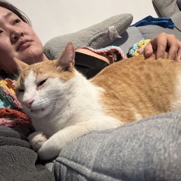 Huisdierenoppas Yu Han uit Gouda