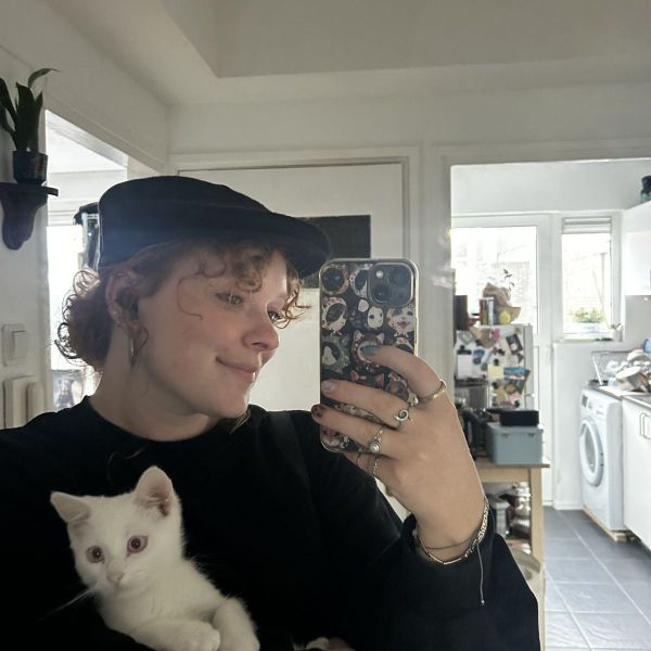 Moos, Dirk, Bob uit Vlissingen zoekt een Kattenoppas