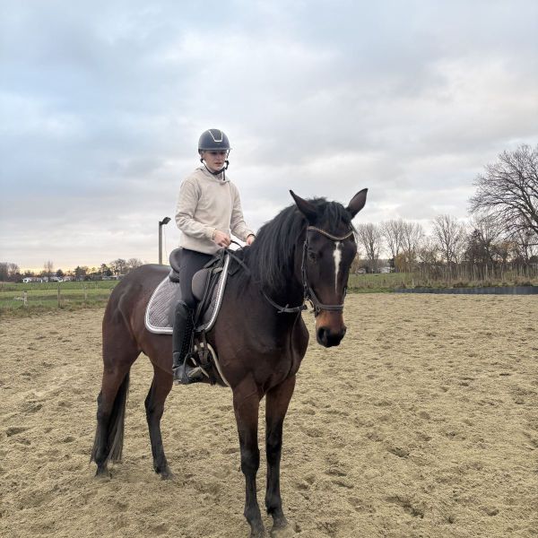 Huisdierenoppas Liv uit Leiden