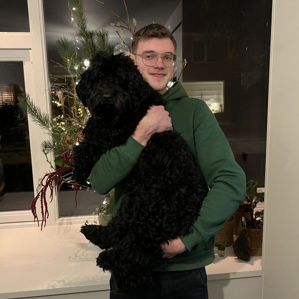 Hondenoppas Rocky uit Nieuwerkerk Aan Den Ijssel