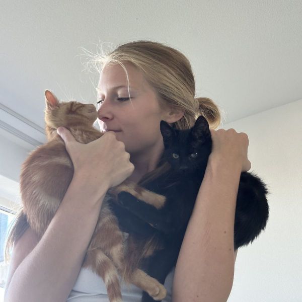 Huisdierenoppas Ginger uit Alphen Aan Den Rijn