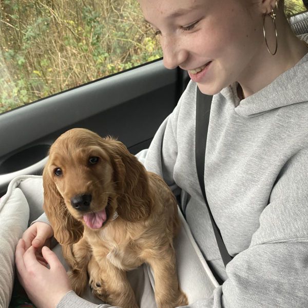 Huisdierenoppas Mara uit Leuth