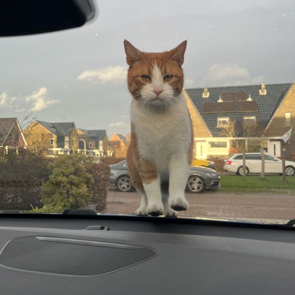 Huisdierenoppas Liza uit Zuidhorn