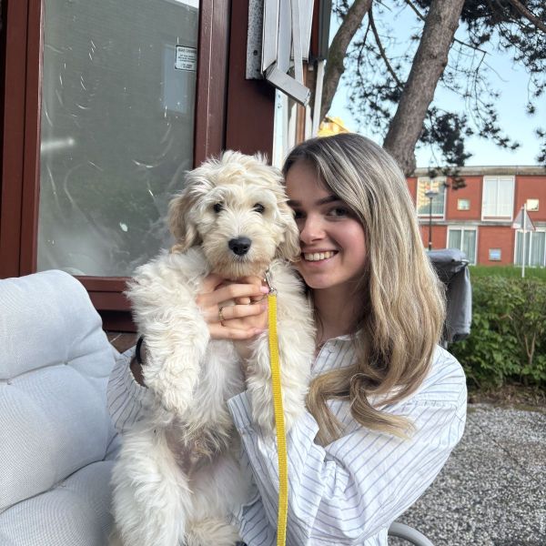 Hondenoppas Tessa uit Rijswijk