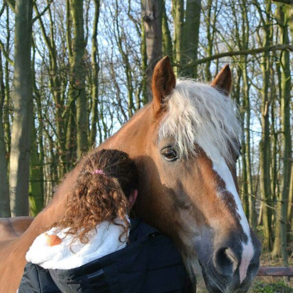 Huisdierenoppas Melissa uit Uitgeest