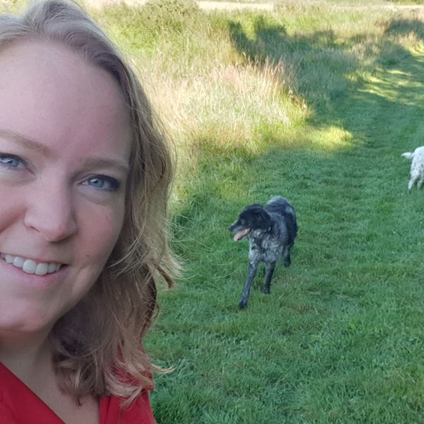 Falco, LOLA uit Elst, Utrecht zoekt een Hondenoppas