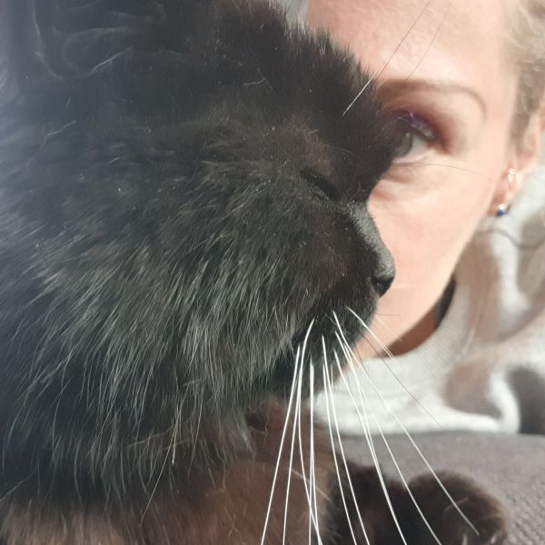 Kattenoppas Marlies uit Vlaardingen