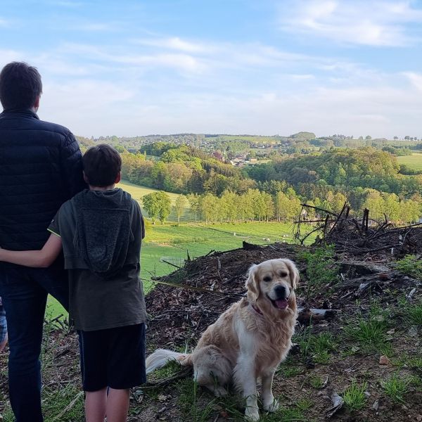 Monty, Monty uit Laren, Nh zoekt een Hondenoppas