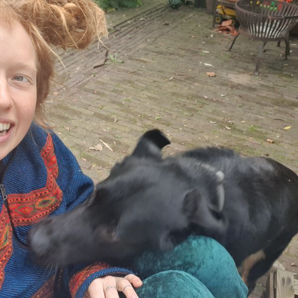 Huisdierenoppas Margo uit Hilversum