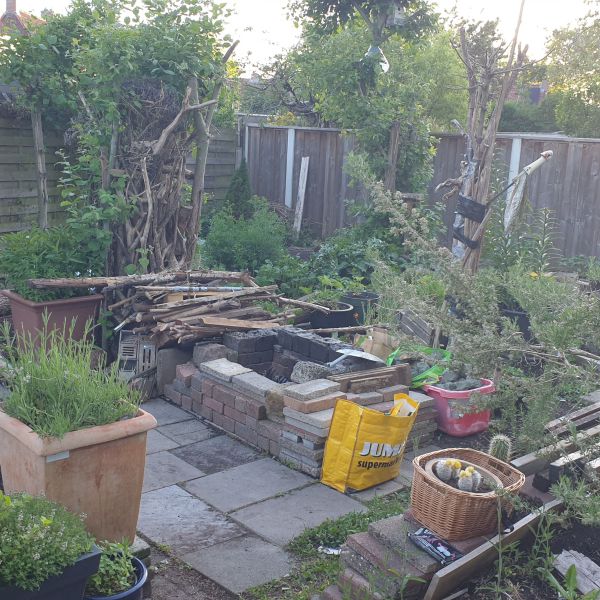 kat, poes uit Hengelo zoekt een Kattenoppas