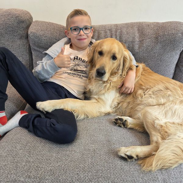 Tobi uit Etten-Leur zoekt een Hondenoppas