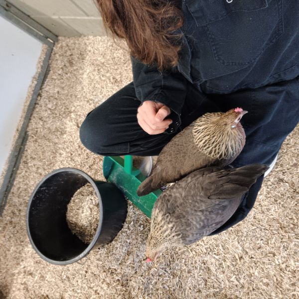 Huisdierenoppas Wendy uit Goes