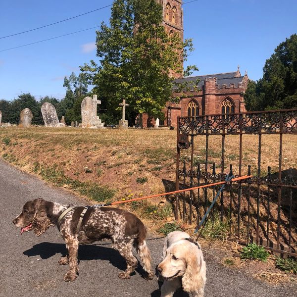 Otto, Polly uit Wilhelminaoord zoekt een Hondenoppas