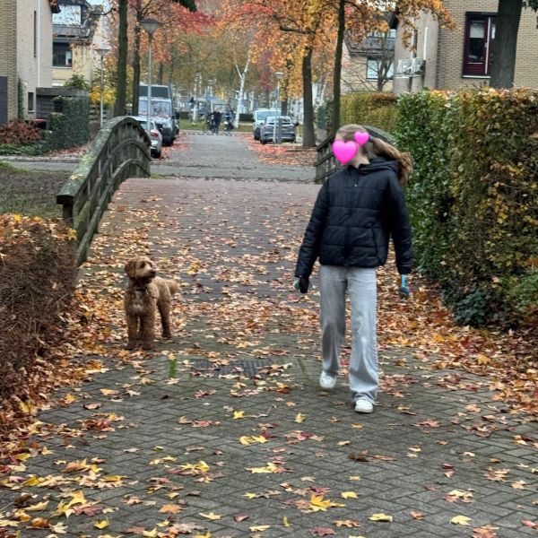 Hondenoppas Sifra uit Zwolle