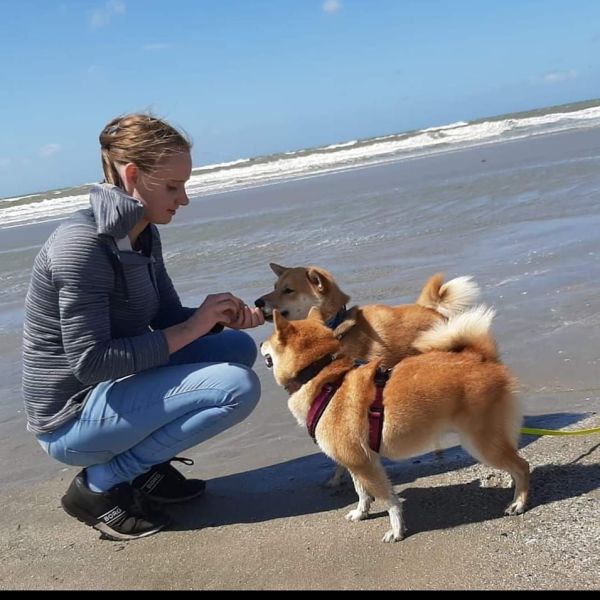 Huisdierenoppas Laura uit Dordrecht