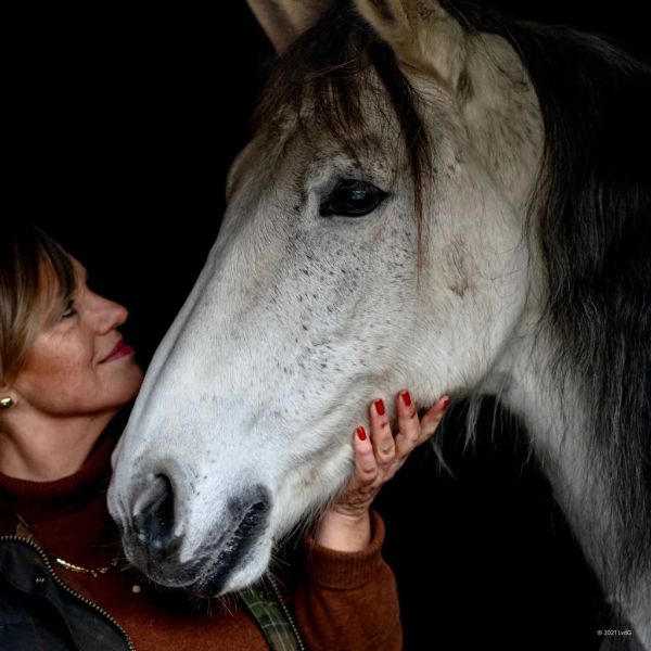 Valentino, Luna, Rudie uit Westbroek zoekt een huisdierenoppas