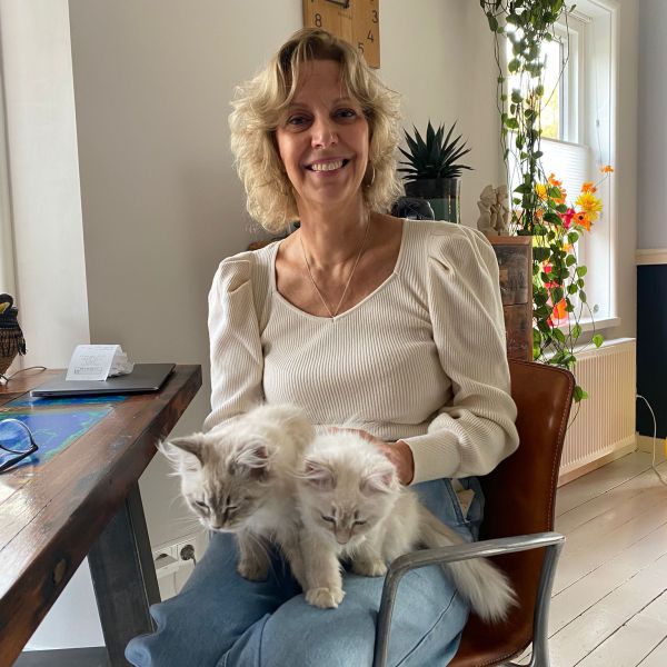 Daya, Lulu, Koda uit Puttershoek zoekt een Kattenoppas