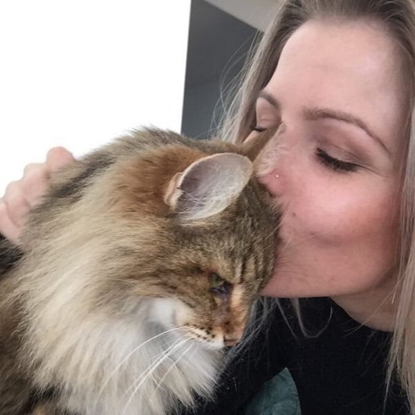 Huisdierenoppas Soizick uit Kattendijke
