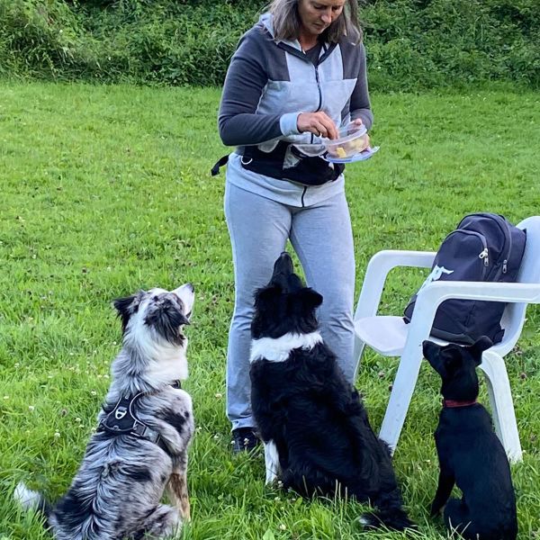 Huisdierenoppas Petra uit Capelle Aan Den Ijssel